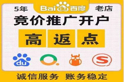 实战经验：SEM网络推广打造行业领军品牌