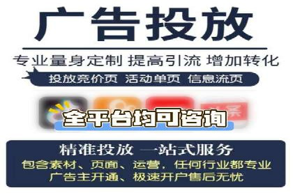 谷歌SEM实战案例：利用广告系列优化效果